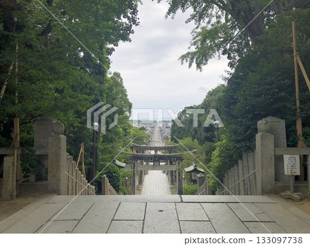 Fukutsu City "Miyajidake Shrine" Path of Light Fukutsu City "Miyajidake Shrine" Path of Light 133097738