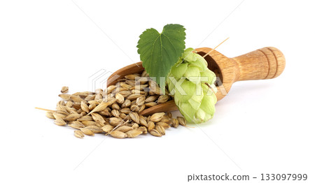 Wooden Scoop with Barley and Hops for Beer Brewing Ingredients 133097999