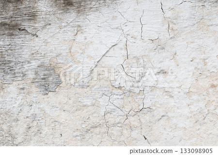 Light Gray Stucco Wall Texture. Abstract Background 133098905