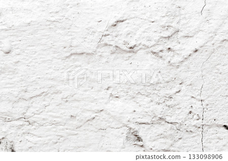 Light Gray Stucco Wall Texture. Abstract Background 133098906