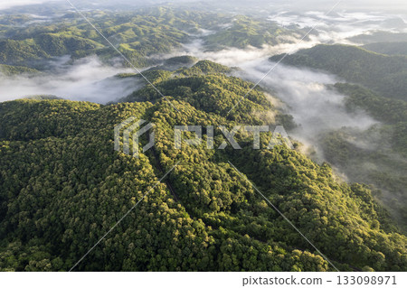 Landscape of Morning Mist with Mountain Layer. mountain ridge and clouds in rural jungle bush forest Landscape of Morning Mist with Mountain Layer. mountain ridge and clouds in rural jungle bush forest 133098971