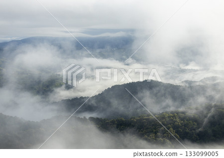Landscape of Morning Mist with Mountain Layer. mountain ridge and clouds in rural jungle bush forest 133099005