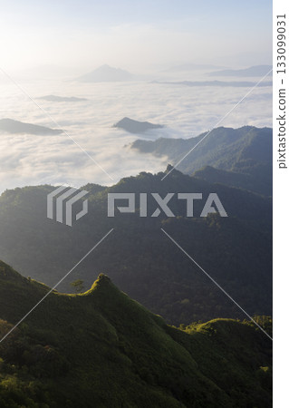 Landscape of Morning Mist with Mountain Layer. mountain ridge and clouds in rural jungle bush forest 133099031