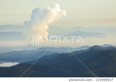 Landscape of Morning Mist with Mountain Layer. mountain ridge and clouds in rural jungle bush forest 133099037