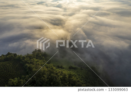 Landscape of Morning Mist with Mountain Layer. mountain ridge and clouds in rural jungle bush forest Landscape of Morning Mist with Mountain Layer. mountain ridge and clouds in rural jungle bush forest 133099063