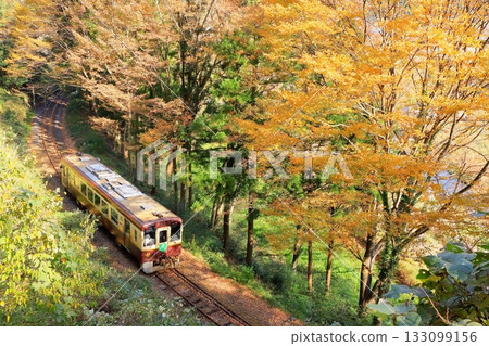 Watarase Keikoku Railway "Train running through mountain curves" with yellow leaves in the background Watarase Keikoku Railway "Train running through mountain curves" with yellow leaves in the background 133099156