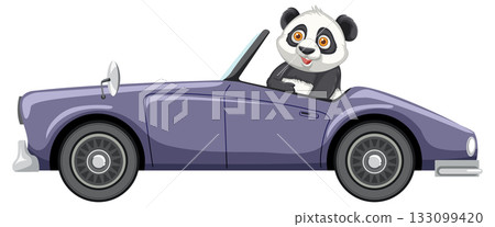 Smiling Panda Driving Classic Purple Convertible Car Smiling Panda Driving Classic Purple Convertible Car 133099420