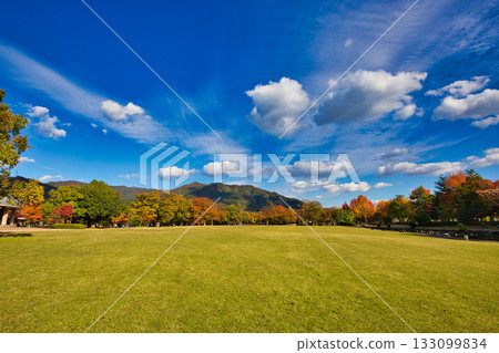 Landscape with autumn leaves 133099834