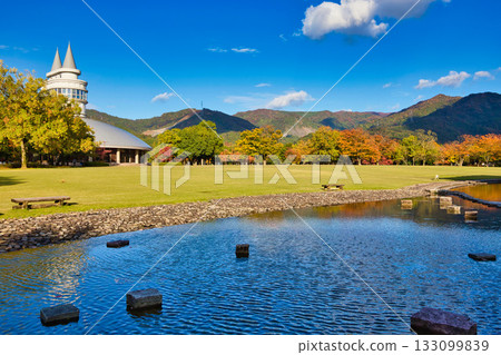 Landscape with autumn leaves Landscape with autumn leaves 133099839