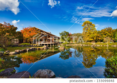 Landscape with autumn leaves 133099848