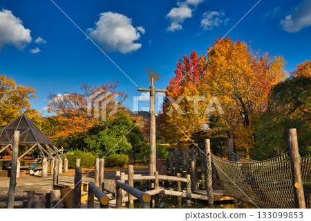Landscape with autumn leaves Landscape with autumn leaves 133099853