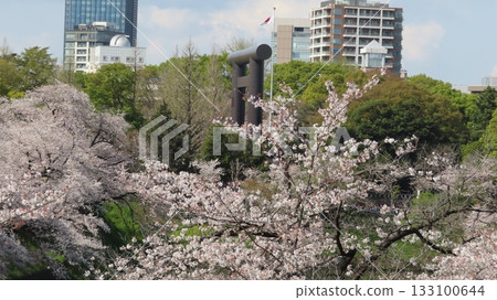 Yasukuni Shrine and the cherry blossoms at the Imperial Palace, the Japanese flag Yasukuni Shrine and the cherry blossoms at the Imperial Palace, the Japanese flag 133100644