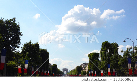 French landscape: Champs-Élysées French landscape: Champs-Élysées 133100962