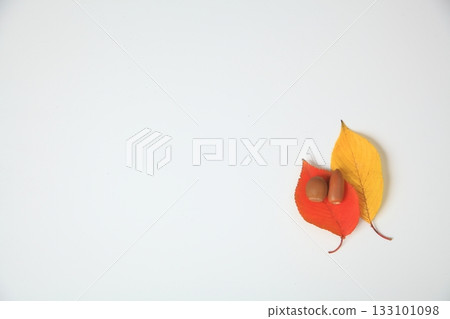 秋葉的葉子 133101098