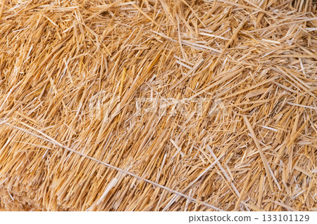 Close-up of dry straw bale texture Close-up of dry straw bale texture 133101129