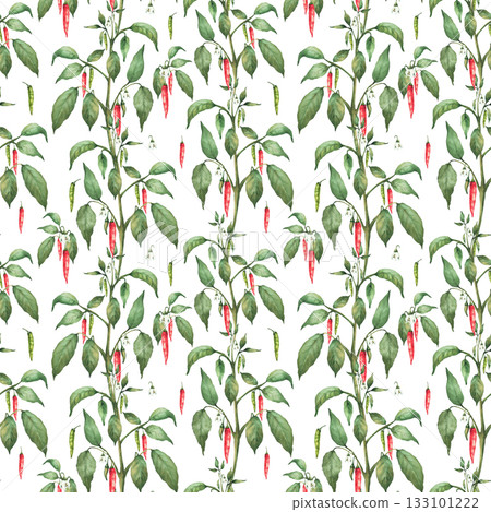 Watercolor hot Chili pepper seamless pattern. Plant with red end green pepper pods, flowers and leaves. Hand drawn watercolor illustration. Spicy vegetables for fabric on Isolated white background 133101222