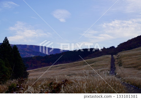 Sengokuhara在秋天 133101381
