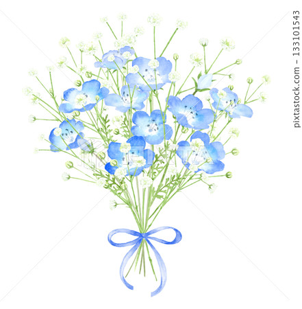 Watercolor illustration of a bouquet of nemophila and gypsophila 133101543