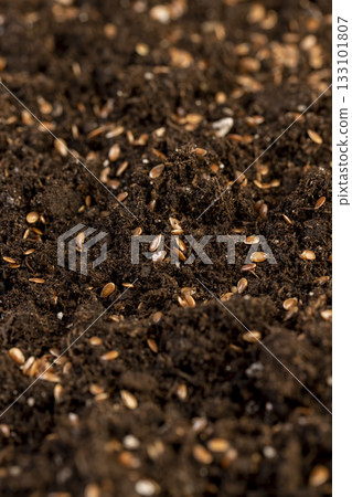 the details of the brown fertile soil with the addition of ripe flax seeds to obtain a new crop, a large number of small brown flax seeds scattered on brown soil in the field to harvest flax 133101807