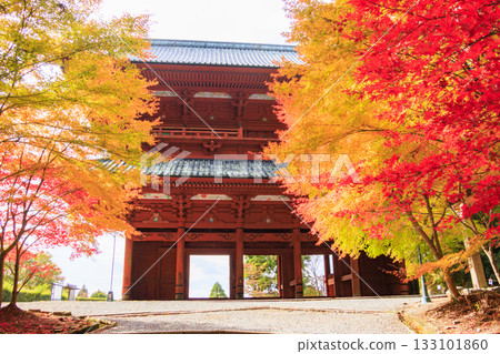 Koyasan in full bloom of autumn leaves Koyasan in full bloom of autumn leaves 133101860