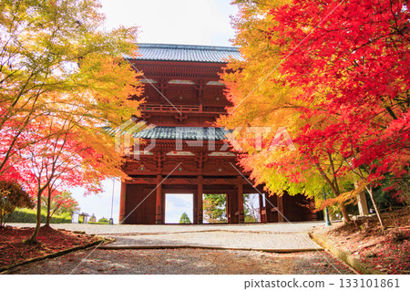 紅葉盛開的高野山 紅葉盛開的高野山 133101861