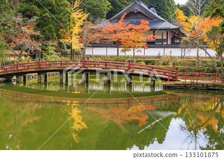 Koyasan in full bloom of autumn leaves Koyasan in full bloom of autumn leaves 133101875