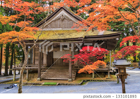 Koyasan in full bloom of autumn leaves Koyasan in full bloom of autumn leaves 133101893