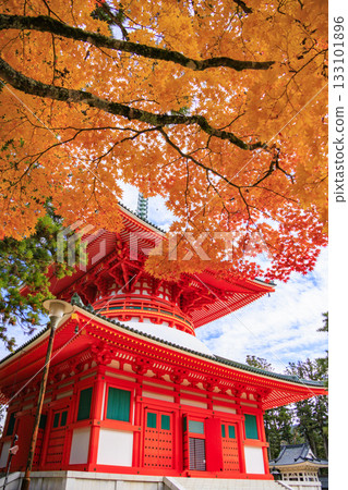 Koyasan in full bloom of autumn leaves Koyasan in full bloom of autumn leaves 133101896