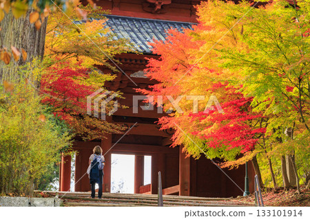 紅葉盛開的高野山 133101914