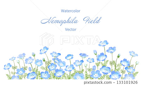 Nemophila field painted in watercolor Nemophila field painted in watercolor 133101926