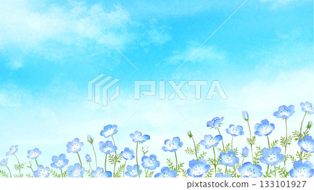 以藍天為背景的粉蝶花田水彩畫 133101927