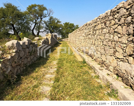 Ruins at Taxila revealing centuries of cultural exchange from hellenistic architects to locals Ruins at Taxila revealing centuries of cultural exchange from hellenistic architects to locals 133102009