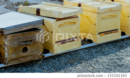 A beekeeper's gloved hands prepare to open a new package of bees to add to the hive. Bee hives, bees adding honey. 133102163