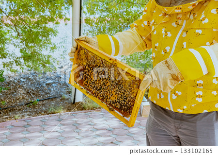 A beekeeper's gloved hands prepare to open a new package of bees to add to the hive. Bee hives, bees adding honey. 133102165