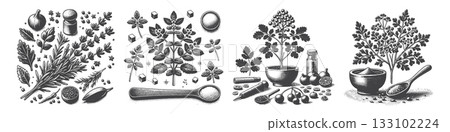 Vintage Hand-Drawn Spice Set Illustration,  133102224