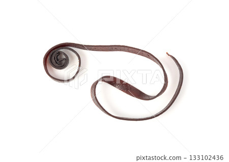 Fruit leather rolls isolated. Plum apple pastila, pastille healthy candy snack 133102436