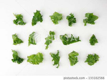 Pieces of kale cabbage leaves isolated. Green leaf of curly cabbage cooked for fresh salad 133102566