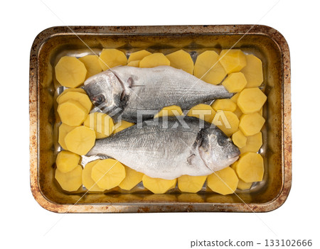 Dorado fish on a baking sheet with potatoes. Whole raw seabream, gilt-head bream, dorada 133102666