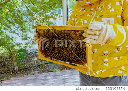 A beekeeper's gloved hands prepare to open a new package of bees to add to the hive. Bee hives, bees adding honey. 133102854