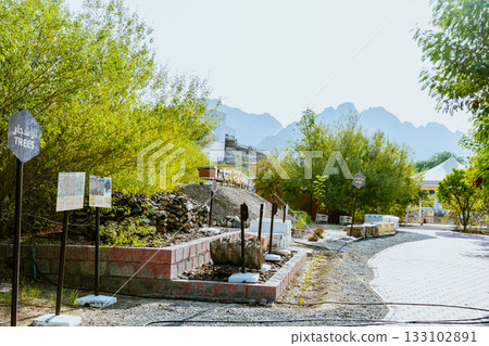Beekeeper working collect honey. Beekeeping concept. 133102891