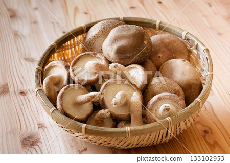 香菇 香菇 133102953