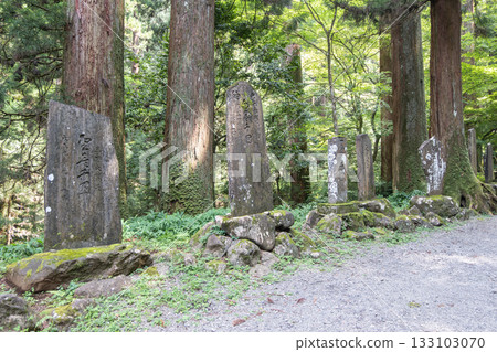 Daiyuzan Saijoji, Minamiashigara, Kanagawa, Japan - July 20, 2025 : Ancient stone monuments in forest pathway surrounded by tall trees and greenery 133103070