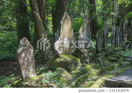 Daiyuzan Saijoji, Minamiashigara, Kanagawa, Japan - July 20, 2025 : Ancient stone monuments with inscriptions in mossy forest pathway 133103074