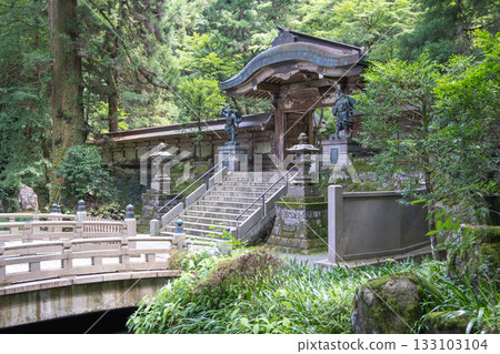 Daiyuzan Saijoji, Minamiashigara, Kanagawa, Japan, Traditional Japanese temple entrance surrounded by forest and stone lanterns 133103104
