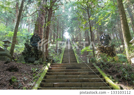 Daiyuzan Saijoji, Minamiashigara, Kanagawa, Japan, Stone stairway ascending through forest with guardian statues in peaceful nature 133103112