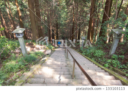 Daiyuzan Saijoji, Minamiashigara, Kanagawa, Japan , Person walking down stone steps in forest with traditional lanterns along path 133103113
