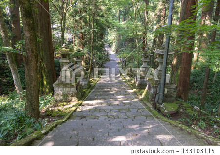 Daiyuzan Saijoji, Minamiashigara, Kanagawa, Japan Stone pathway with lanterns in forest park surrounded by trees and greenery Daiyuzan Saijoji, Minamiashigara, Kanagawa, Japan Stone pathway with lanterns in forest park surrounded by trees and greenery 133103115