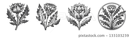 Vintage Hand-Drawn Scottish Thistle Illustration,  133103239
