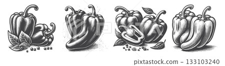 Vintage Hand-Drawn Paprika Illustration, Spicy Pepper Engraved Vector for Cooking and T-Shirt Design 133103240