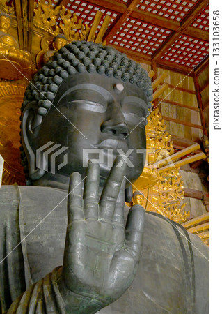 Todaiji Buddha of Nara 133103658